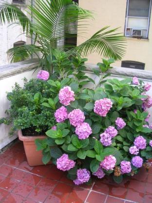 New York (NY) United States Hotels