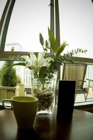 New York (NY) United States Promo Code Agoda.com